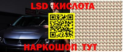 герыч Краснодар