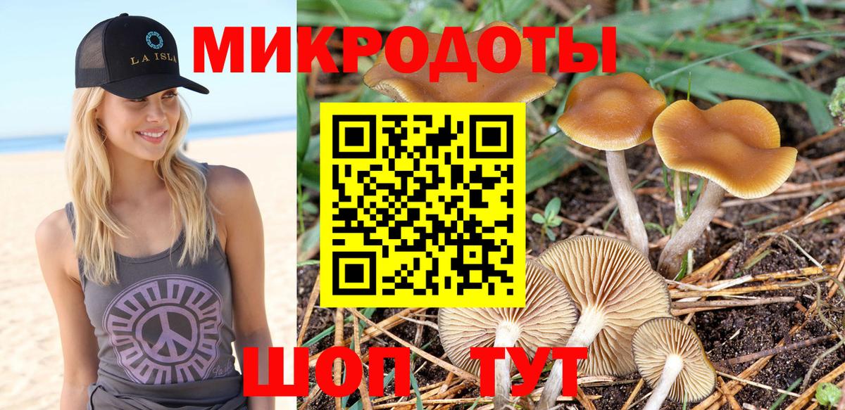 Галлюциногенные грибы мицелий  купить закладку  Королёв  Вход с VPN 